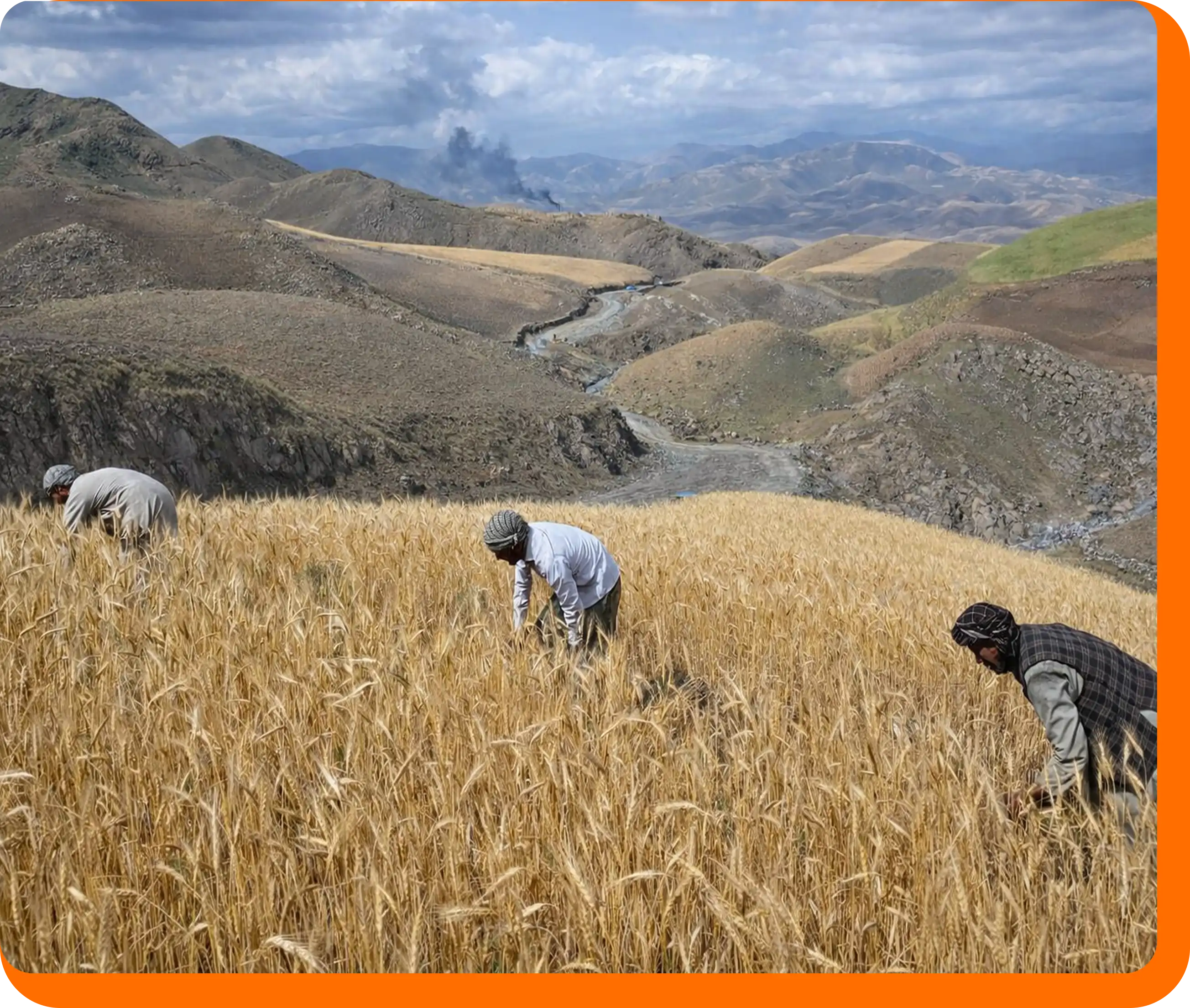 Food Security and Livelihood Program